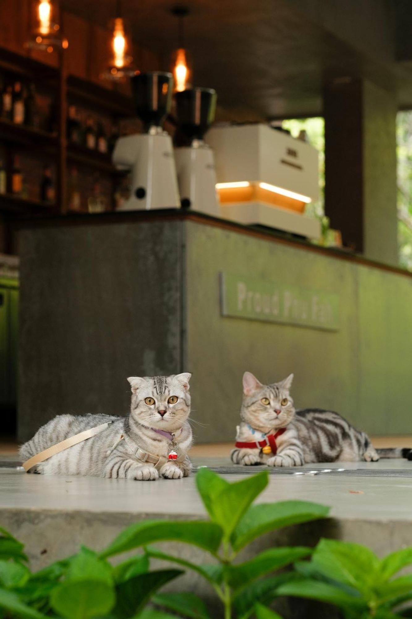 Proud Phu Fah Muang Chiang Mai Hotel Buitenkant foto